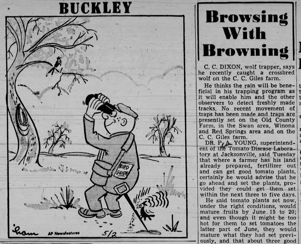 Typical “Browsing with Browning” column by Smith County Ag Agent Ben Browning, 1956.